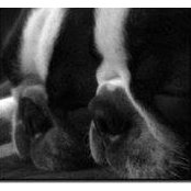 Julie Steele's photo