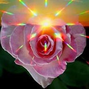 Peggy Strasser's photo