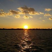 Sonia Gill's photo