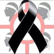 Ennio Solinas's photo