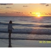 Sue Stephan's photo
