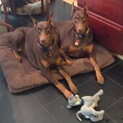 Barbara Schaier-Peleg's photo