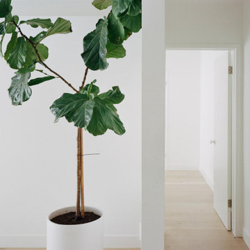 Hollywood Hills Road Hallway