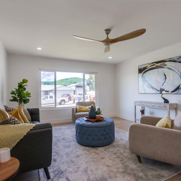 2023 Santee remodel