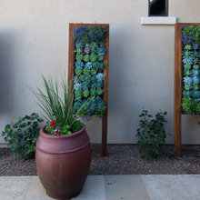 Succulent Art