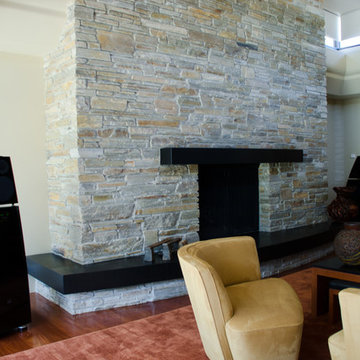 Modern Transitional Living Room