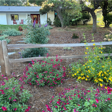 Encinitas Pollinator Garden