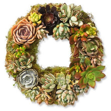 Contemporary Wreaths And Garlands by Williams-Sonoma