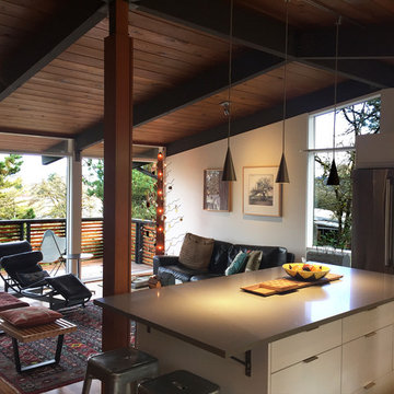 South Hills mid-century remodel