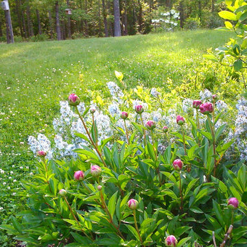Green Springs: Growing a New Old Garden