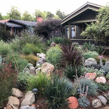 Colorful Watershed Front Landscape