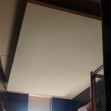 Star Ceiling Bathroom with fiber optics and LED lights
