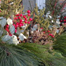 window box