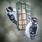 Deb Fleet's photo