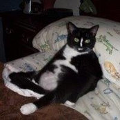 Laurie Nemec's photo