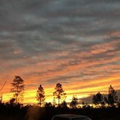 Scott Coletti's photo