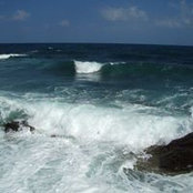 Vitaliy Nikolaev's photo