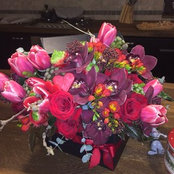 ioana mircea's photo