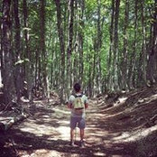 Stefano Petrella's photo