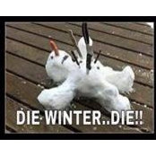 Foto von Sheila Friedline