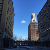 Anthony Cheatham's photo