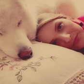 Lindsey Lehr's photo