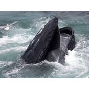 Lucy Gilmore's photo