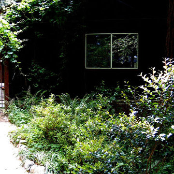 A Ben Lomond Native Plant Library