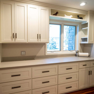Eden Prairie Main Level Remodel