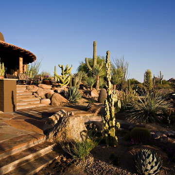 Natural Wonder - Phoenix Home & Garden