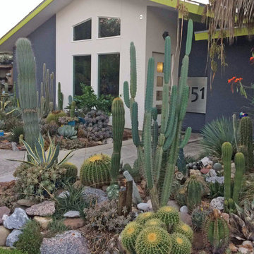 Xeriscape #1