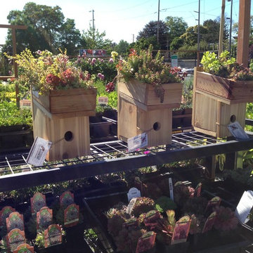 Green Roof Birdhouse