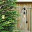 Brightech AmbiencePro Incandescent String Lights 11Watt S14, 48 Ft Strand