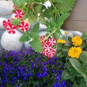 Lorinda Esparza's photo