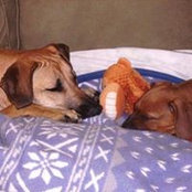 Stephanie Matulich's photo