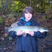 Aidan McMinns billede