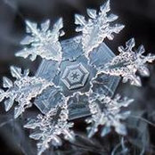 Denise Lee Persson's photo