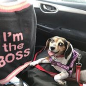 Yessel Sodi's photo