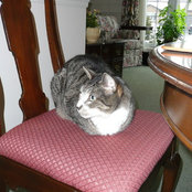 Sue Beckstead's photo