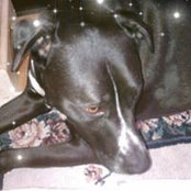Mara Degagne's photo