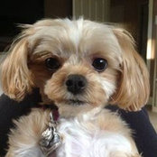 Beverly Fishman's photo