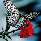 Eman Salem's photo