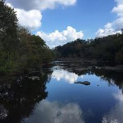 Amy Rauber-Patton's photo
