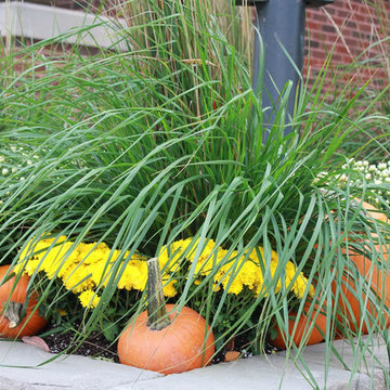 Fall Decorations