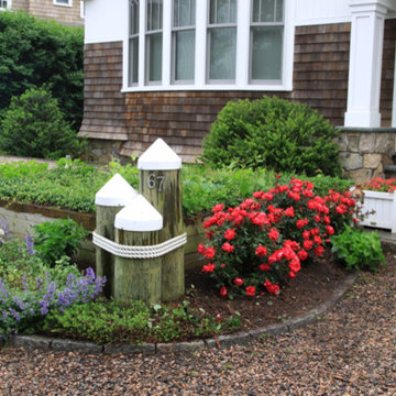 Coastal plantings, June 2014