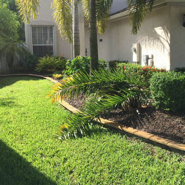 Alberto Lizarazo’s Garden