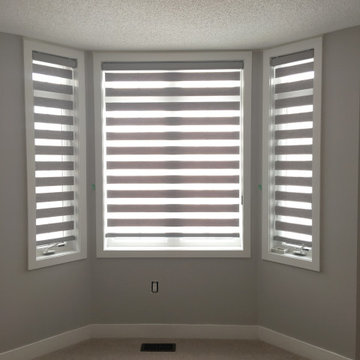 High Quality Combi Zebra Shades