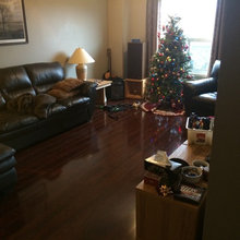 Updating the main floor....LR and DR.