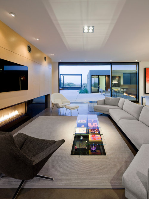 Modern Living Room Design Ideas, Remodels & Photos | Houzz