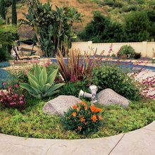 Drought Resistant Beds